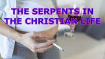 Are there serpents in your Christian life? width=206 height=116 title=