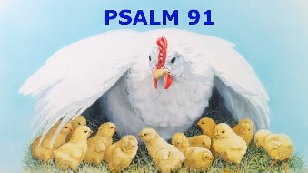 Psalm91